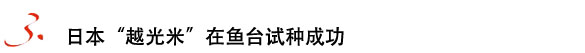 高端农产品,高端禽肉,高端水产,都市人的消费新宠,中国农业网专题