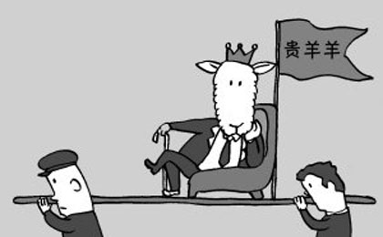 贵羊羊,羊肉,为何又刮起“贵羊羊”奢侈风,中国农业网专题
