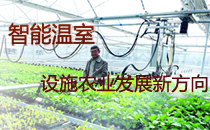 温室,智能温室,智能温室-设施农业发展新方向,中国农业网专题