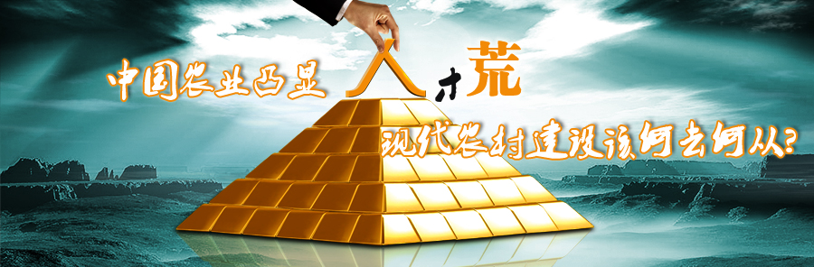 中国农业,人才荒,中国农业凸显人才荒 现代农村建设该何去何从,中国农业网专题