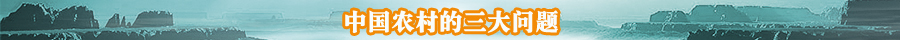 中国农业,人才荒,中国农业凸显人才荒 现代农村建设该何去何从,中国农业网专题