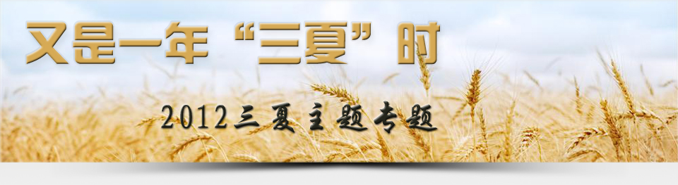 三夏，夏种夏管，又是一年“三夏”时，中国农业网专题